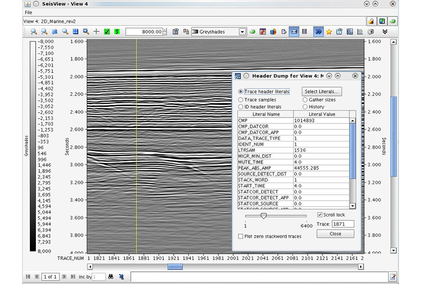SeisView 2D Seismic Data Viewer and Analysis Software