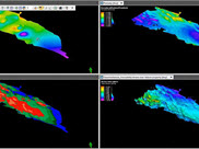 Petroleum Systems Modeling Risk Assessment