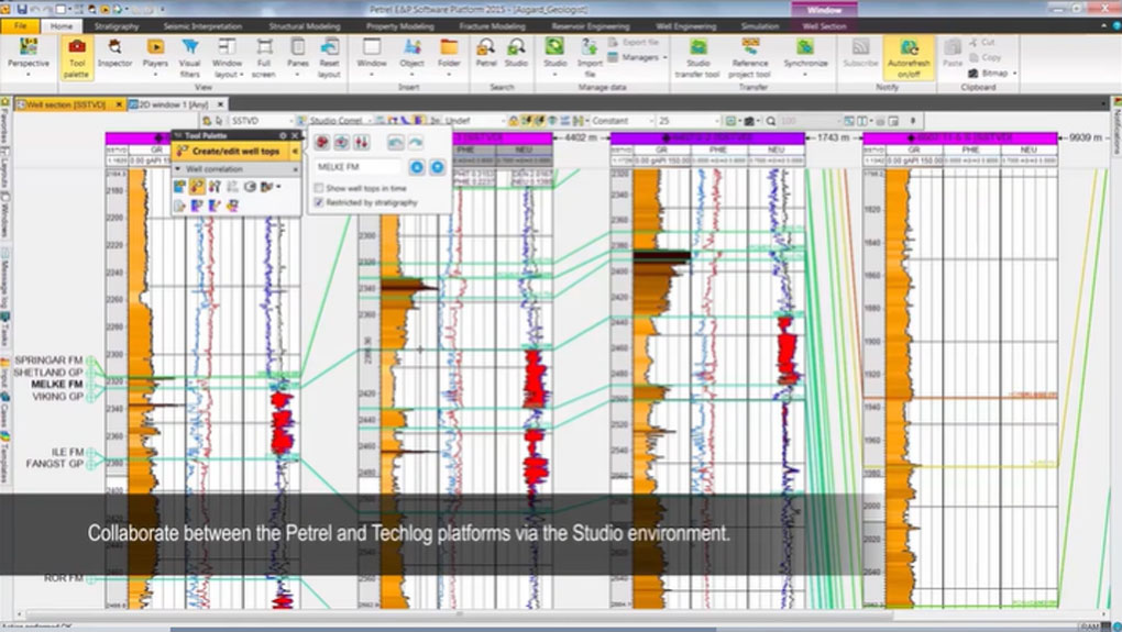 Studio Environment for Petrel Users