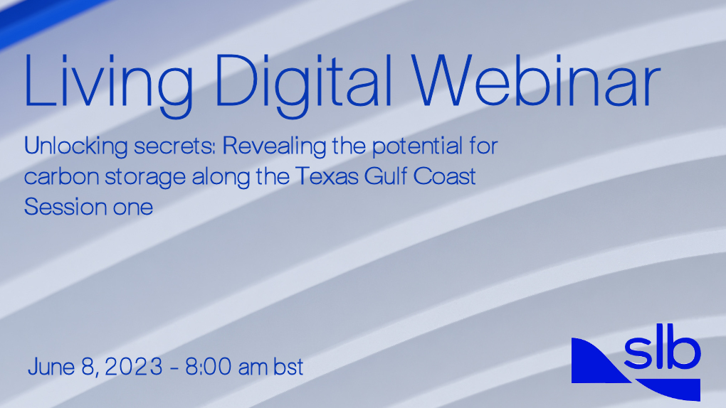 Unlocking Secrets: Revealing the Potential for Carbon Storage Along the Texas Gulf Coast