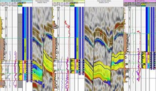 Schlumberger Geology Software