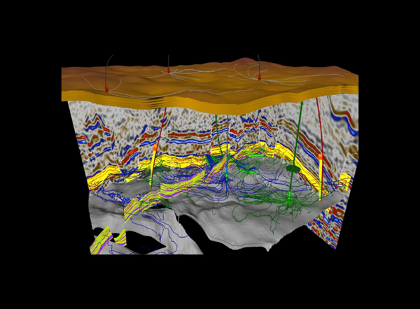 3D View of seismic dataset 