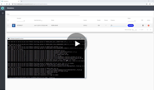 DELFI On Demand Reservoir Simulation