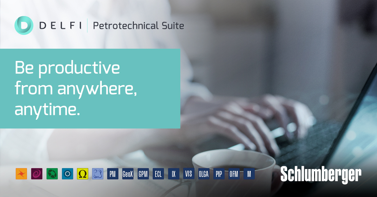 DELFI Petrotechnical Suite