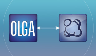 OLGA - Symmetry integration