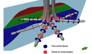 Petrel Reservoir Engineering