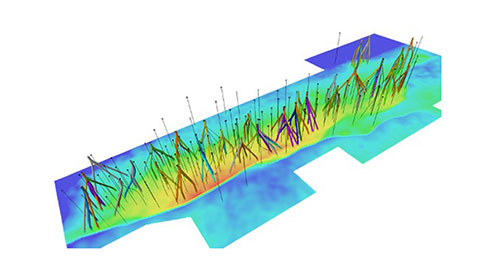 Shushufindi adopts subsurface workflows on Delfi