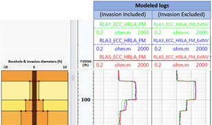 Techlog_3DPetrophysicsResistivity