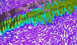 Schlumberger Software Reservoir Engineering