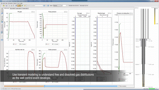 Well Control Simulation