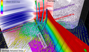Schlumberger Asset Consulting