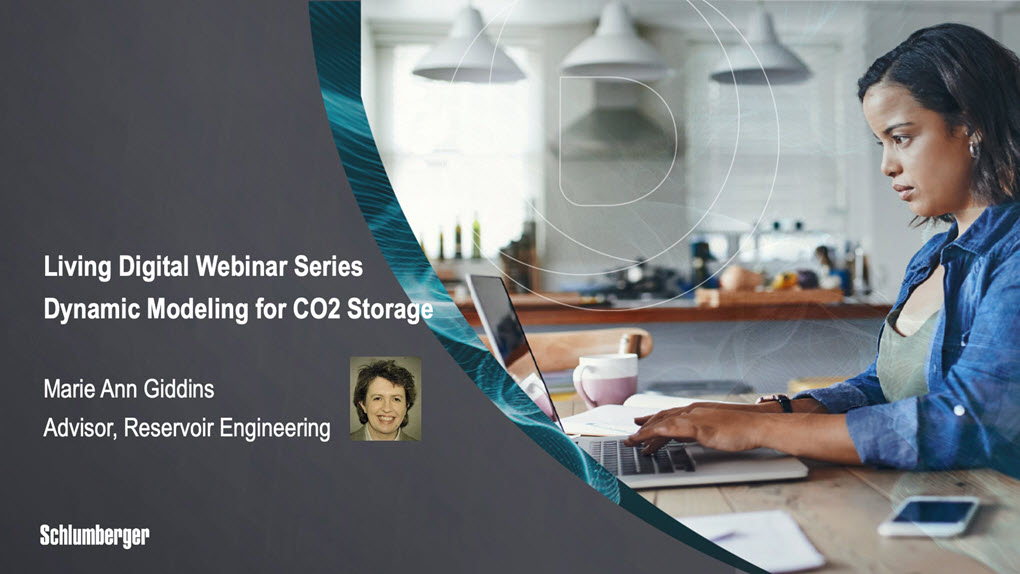 Webinar: Dynamic Modeling for CO2 Storage