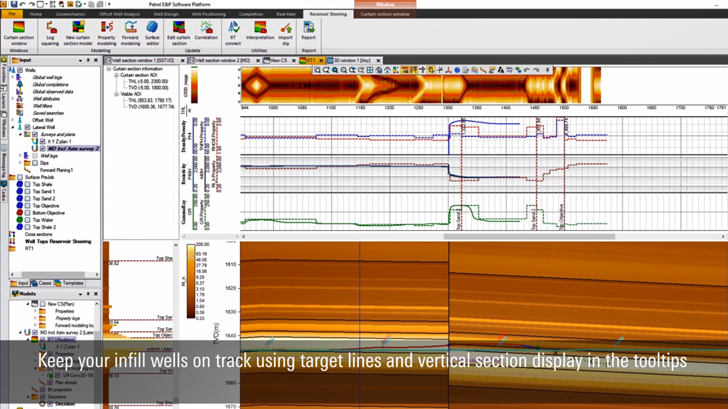 Petrel subsurface software