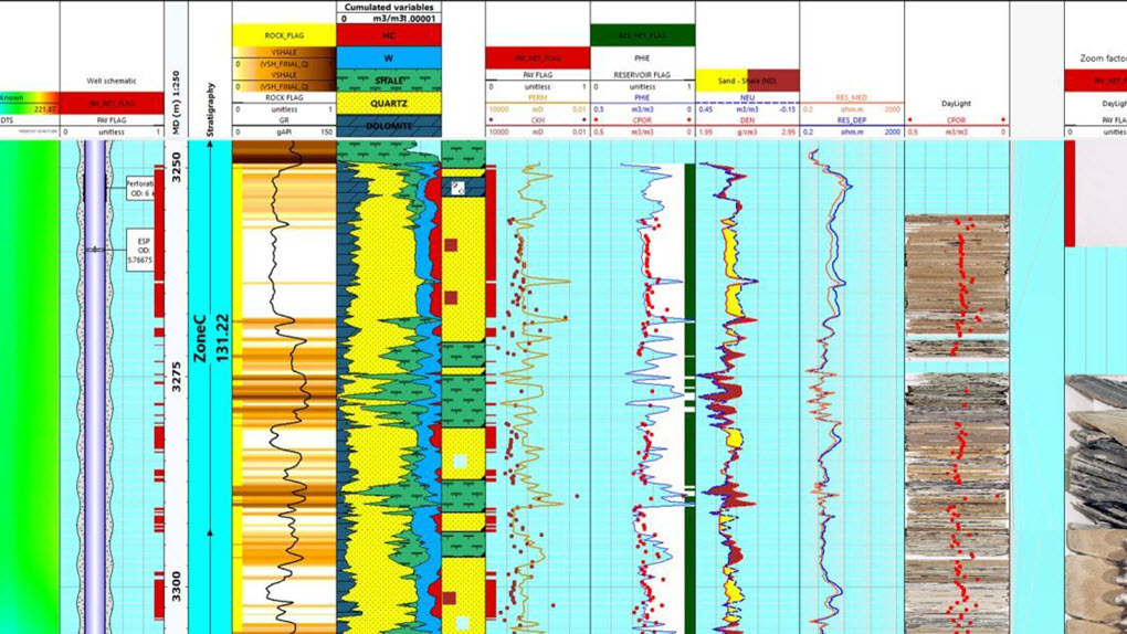 Techlog wellbore software